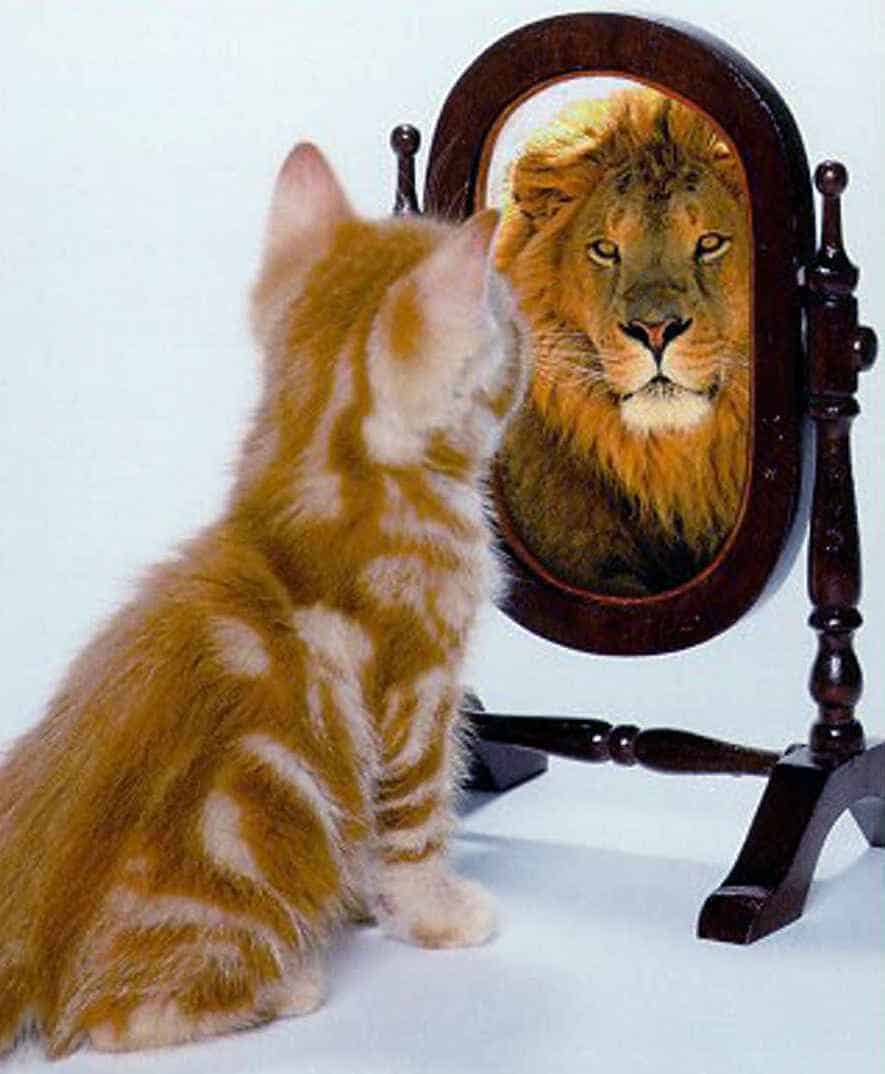 Biggest brand positioning mistakes